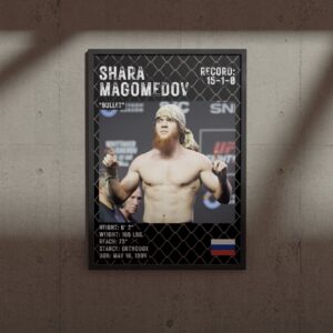 UFC постер Shara Magomedov